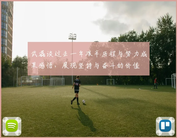 武磊谈过去一年艰辛历程与努力成果感悟，展现坚持与奋斗的价值